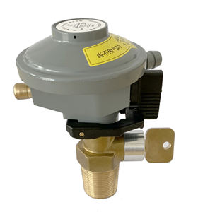 Régulateur de gaz GPL YONGZHAN TZ01 20/21/22 mm à clic pour cuisinière domestique et barbecue avec sortie de 10 mm et garantie de 3 ans - Product Image 6