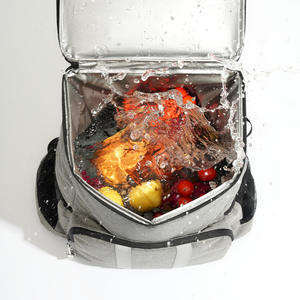 Sac isotherme Beilian 26L, sac à dos isotherme portable, remplissable d'eau, pour pique-nique en plein air, gris noir - Product Image 4