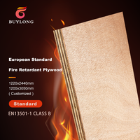 Panneau de contreplaqué ignifuge certifié EN 13501 Euro B 5 mm 9 mm 18 mm, contreplaqué ignifuge E0, bois durable pour meubles modernes
