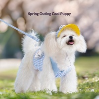 Conjunto de Arnés y Correa para Perro de Malla Suave de Lujo Personalizado al por Mayor con Estampado Animal, No Retráctil, para Cachorros Pequeños/Medianos con Gorro