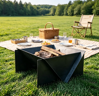 Brasero de camping pliable et détachable en acier inoxydable, avec gril barbecue intégré, portable pour camping-car et pique-nique