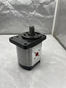 Pompe à engrenages X1P2502FBBA X1P2302FBBA X1P2102FBBA X1P2002FBBA X1P1802FBBA X1P1702FBBA X1P1602FBBA X1P X1P250 X1P200 X1P170 - Product Image 3