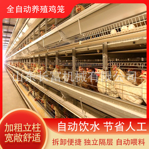 กรงไก่แบบ H ตาข่ายลวดอัตโนมัติหลายชั้น สำหรับการเลี้ยงสัตว์ปีก - Product Image 5