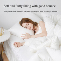 Oreillers de lit moelleux et doux pour hôtel 5 étoiles, antibactériens, lavables, à bords doubles, 100% polyester, OEM ODM