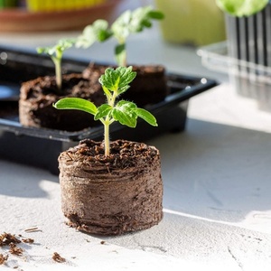 Wholesale 5CM Coco <b>Peat</b> Prllets Disc Moss Seed Starting Plugs Pallet Seedling Soil Block Coconut Coir Pellets - Product Image 5
