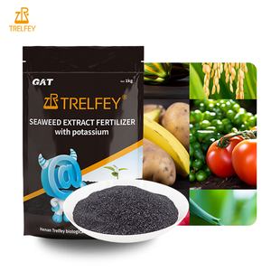 Polvo de extracto de algas de alta pureza, fertilizante orgánico de ácido algínico, Soluble en agua, promueve el enraizamiento de las plantas - Product Image 2