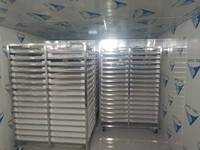 Industriële roestvrijstalen automatische fruit- en warmtepompdroger met droogtechnologie voor tomaten, aardbeien en druiven