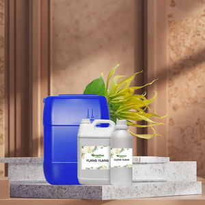 <span class=keywords><strong>Parfum</strong></span> <span class=keywords><strong>à</strong></span> <span class=keywords><strong>base</strong></span> <span class=keywords><strong>d</strong></span>'huile <span class=keywords><strong>d</strong></span>'<span class=keywords><strong>Ylang</strong></span> <span class=keywords><strong>Ylang</strong></span> pour femmes, échantillon gratuit, vente en gros de marque, huiles <span class=keywords><strong>parfum</strong></span>ées de créateur, concentré de <span class=keywords><strong>parfum</strong></span> - Product Image 2