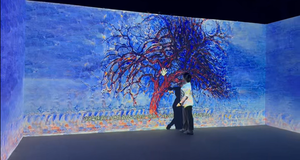 Kamera-<span class=keywords><strong>Laser</strong></span>-<span class=keywords><strong>Touch</strong></span>-System für immersive interaktive Projektionswände und -böden - Product Image 2