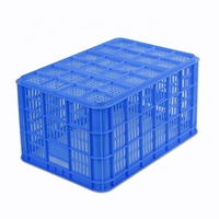Paniers en plastique transparent de différentes tailles pour le stockage des fruits de mer et des poissons