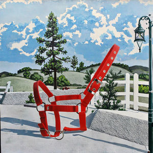 Cabestro Ajustable de Nylon de 25mm para Caballo Estilo Western, para Exteriores, Todas las Estaciones, Negro, Azul, Rojo - Product Image 3