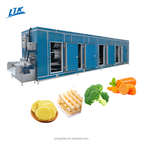 Túnel de congelador automático IQF, máquina de congelación rápida para patatas fritas, verduras congeladas, pollo, nueva condición