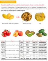 Fabrieksuitverkoop 304 RVS Aardbei Kiwi Saus Mango Pulper Machine 500-2000kg mango Klop- en pulpmachine