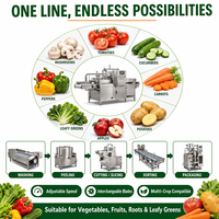 Ligne de production de purée de tomates Yoursjoys pour fruits et légumes, usine alimentaire entièrement automatique