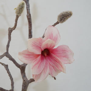 L063 elegantes flores artificiales de moda europea Real Touch <span class=keywords><strong>Yulan</strong></span> <span class=keywords><strong>Magnolia</strong></span> para la decoración de la boda del hogar para el Día de San Valentín - Product Image 6