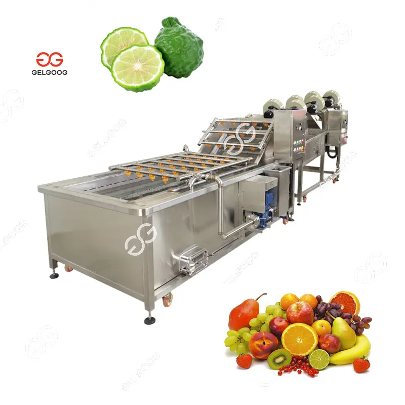 Handelsbetrieb Citronen-Orange Mandarine Reinigung Trocknung Einstufungsmaschinen Frozen Berry Pinsel Reinigungsmaschine für Wassermelone