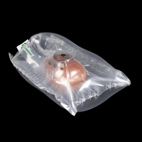 Sac de colonne d'air gonflable en PE de haute qualité avec protection antichoc pour 15*20cm