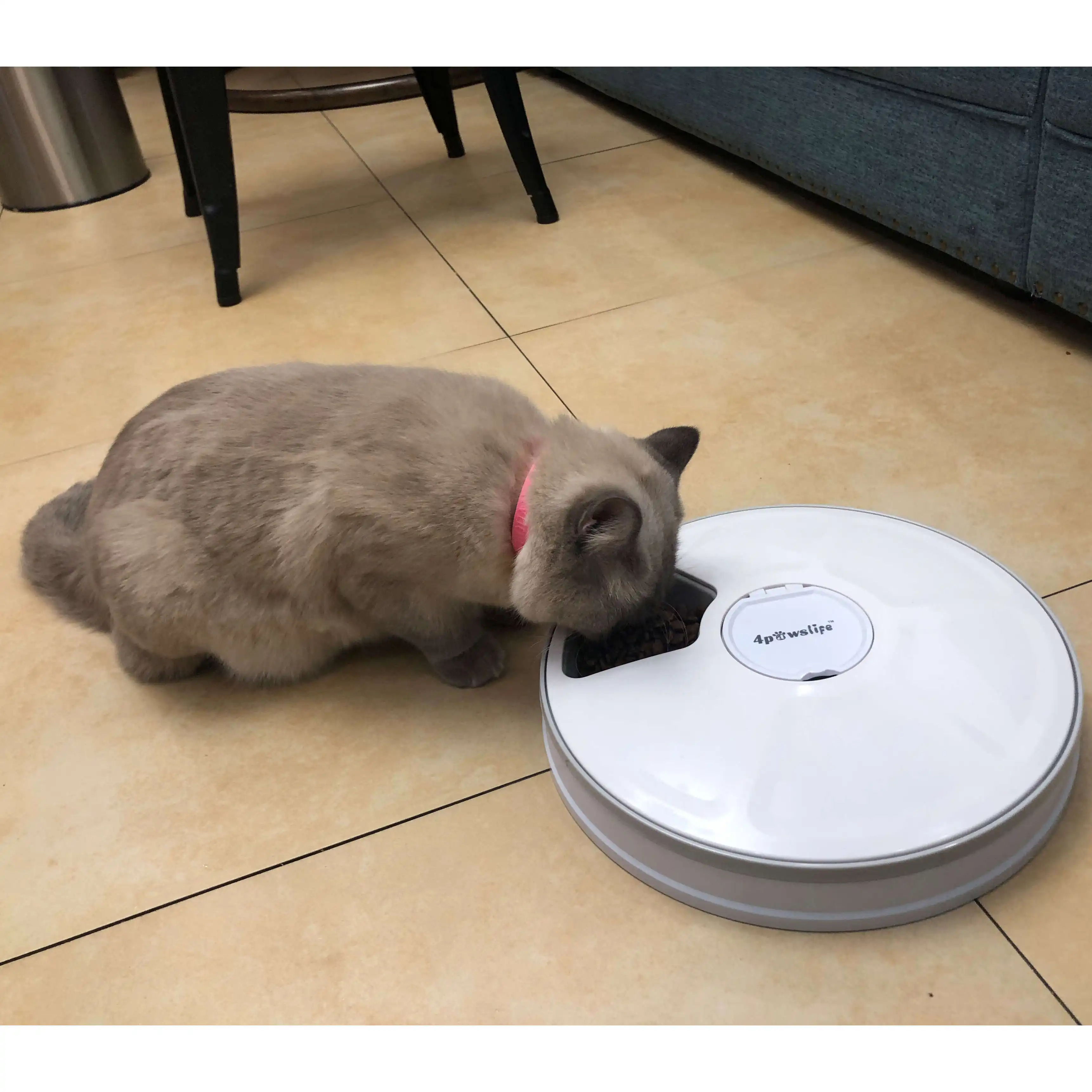 6-Meal Dog and Cat Feeder bowls with Programmable Digital Timer and Music Automatic Pet Feeders