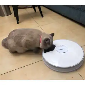 6餐狗猫喂食器碗，带可编程数字计时器和音乐自动宠物喂食器