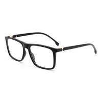 Lunettes de vue et de soleil pour hommes avec monture en acétate, charnière flexible à 360 degrés, motif animal personnalisé - Écologique