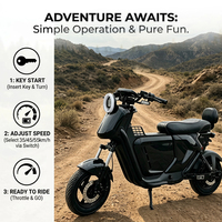 Motocicleta Eléctrica al por Mayor, Motor de 1200W, Ruedas de 14 Pulgadas, Velocidad Máxima de 55 km/h, Autonomía de hasta 140 km para Desplazamientos Diarios