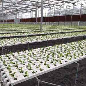 Système hydroponique de mur de seau à énergie solaire directe d'usine - Product Image 6