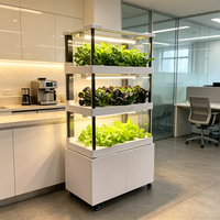 Machine de culture hydroponique verticale automatique intelligente Seeda pour plantes d'intérieur, multi-niveaux, sans terre, facile à utiliser à la maison