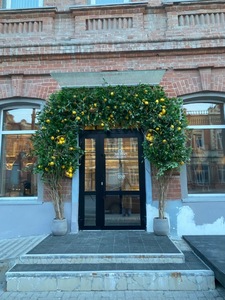 Vigne artificielle de citron en promotion, style italien, pour décoration de plafond d'hôtel - Product Image 6