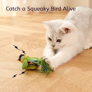 गर्म बिक्री kitens प्राकृतिक सामग्री कार्टून शैली पंख पक्षी इंटरैक्टिव बिल्ली खिलौने थोक मजाकिया पालतू जानवर खिलौने - Product Image 3