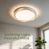 Plafonnier LED AC à spectre complet, design moderne, structure en fer, 220V, commande par interrupteur, IRC 97, garantie 2 ans, 50000 heures, pour chambre à coucher