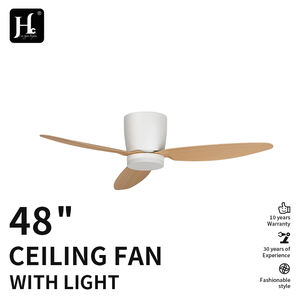 Ventilador de techo de perfil bajo con motor de CC, aspas ligeras de madera ABS instaladas de forma empotrada, ventilador de techo inteligente con luz. - Product Image 2