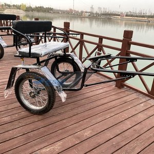 High Quality 2wheeled Pony Carriage Factory Direct Cheap Used Wagon New Style Pony Carriage - Product Image 1