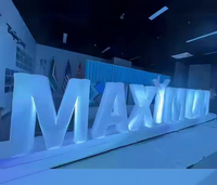 Grandes lettres gonflables géantes personnalisées Lumières à LED Décoration de l'alphabet publicitaire Objets gonflables publicitaires personnalisables