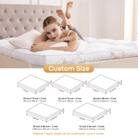 Surmatelas Literie de Charme Double Plume d'Oie et de Canard pour Hôtellerie et Maison