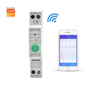 GXPR GXB1-63M 1P Smart Branch Switch Remote Voice Control 110V Din Rail 18mm smart WIFI MCB for Smart Home TUYA APP