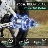 Batterie Lithium 48V 15AH 750W pour Vélo Électrique Tout-Terrain à Pneus Larges pour Adultes, Écran LCD Multi-Modes, 60 Sports, Manuel – Stock USA