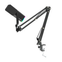 WM13 Freiarm-Ständer Supernierenmikrofon mit USB und RGB-Dynamiktreiber für Live-Streaming und Gaming
