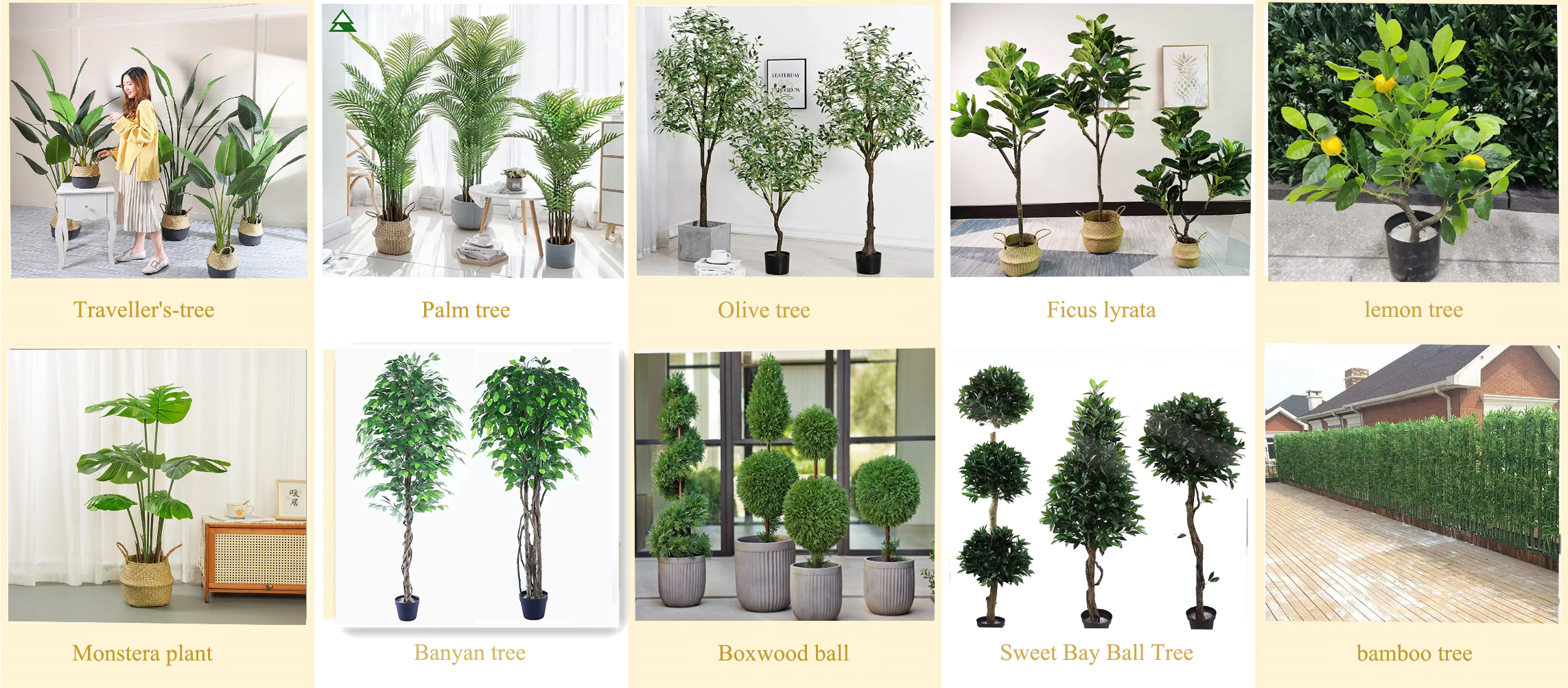 Tipo de personalización