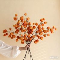 Lampu Buah Buatan untuk Tahun Baru Imlek Wisuda Hiasan Bunga Buatan Latar Belakang Dekorasi Meja