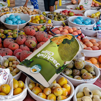 Op maat gemaakte groene verpakkingspapieren zakken, zelfdichtende aluminium zakken, composiet zakken met ritssluiting voor gedroogd fruit.