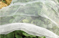 HDPE landbouw anti-hagelnet/fruitbescherming anti-hagelnetten anti-insectennetten beschermen gewassen tegen insectenbeten buiten insecten