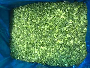 IQF Frozen Spring Onion Frozen Vegetable