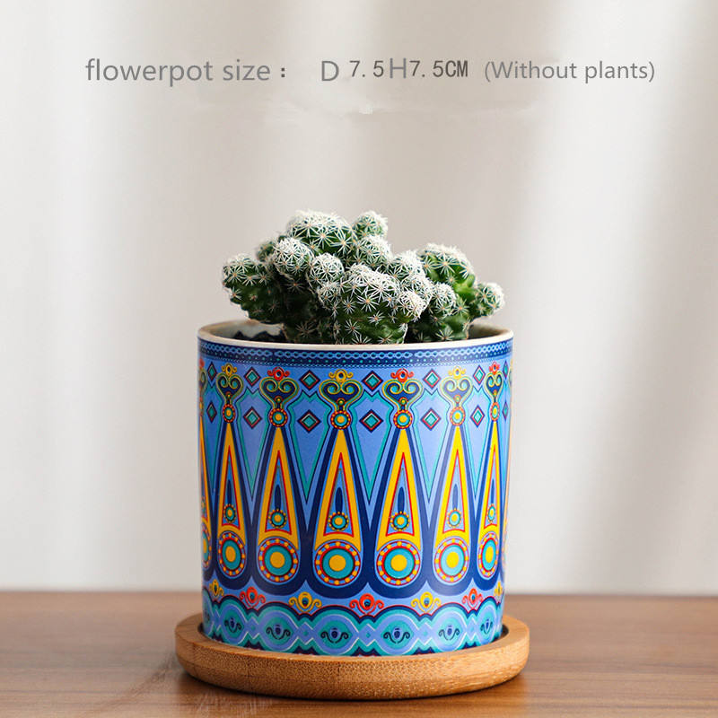 สีฟ้า-ไม่รวมต้นไม้และถาด