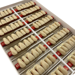 ฟันปลอมอะคริลิคเรซินฟันด้านหน้าล่าง - Product Image 5