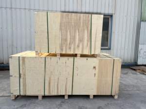 Triciclo Elettrico Motorizzato HOT per Adulti, Moto a 3 Ruote, Bici da 1000W, Veicolo Taxi, Moto Elettrica - Product Image 5