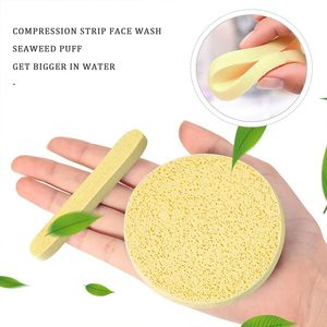Éponge démaquillante professionnelle en PVA compressé, ronde, pour le visage, le fond de teint, cosmétique, échantillon gratuit - Product Image 3