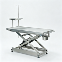 Table d'opération vétérinaire électrique chauffante robuste avec hauteur réglable pour animaux de compagnie