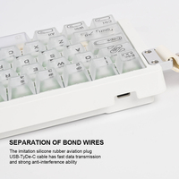 Keyboard Gaming Mekanik Mini 68-Tombol RGB Backlit Antarmuka USB Tipe-C Operasi Tiga Mode Tombol yang Dapat Diprogram Desain Portabel