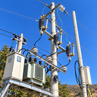 Unité de protection contre les surtensions et les surintensités 10 kV montée sur poteau MRCA-12 avec fusible intégré et parafoudre