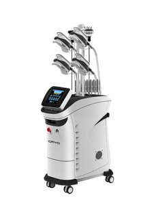 เครื่องแช่แข็งสลายไขมัน 360 Cryolipolysis แบบ 2in1 สำหรับใช้ในบ้านและร้านเสริมสวย กำจัดไขมันบริเวณหลัง สะโพก แขน และหน้าท้อง ดีไซน์โลหะแบบตั้งพื้น - Product Image 1